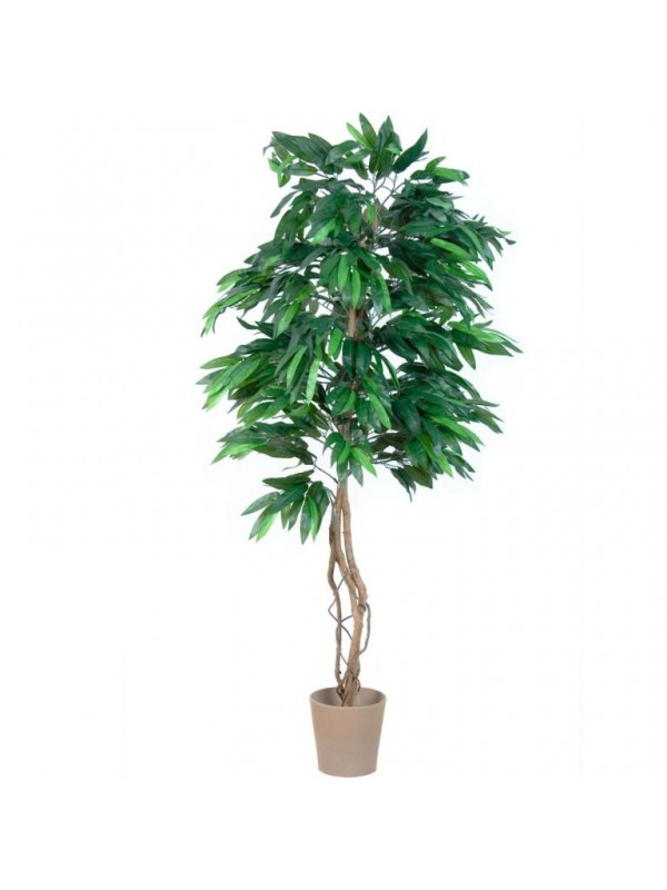 Umelý strom - mango 180 cm