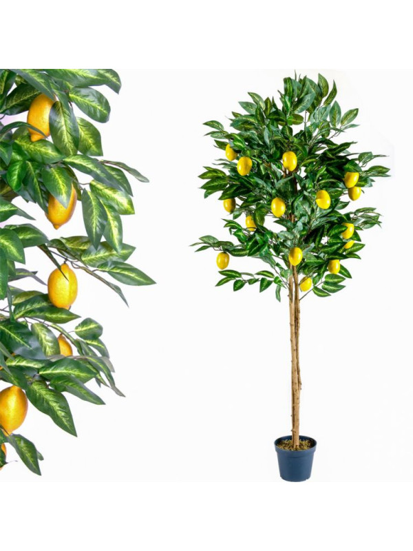 Umelý strom - citrónovník 184 cm