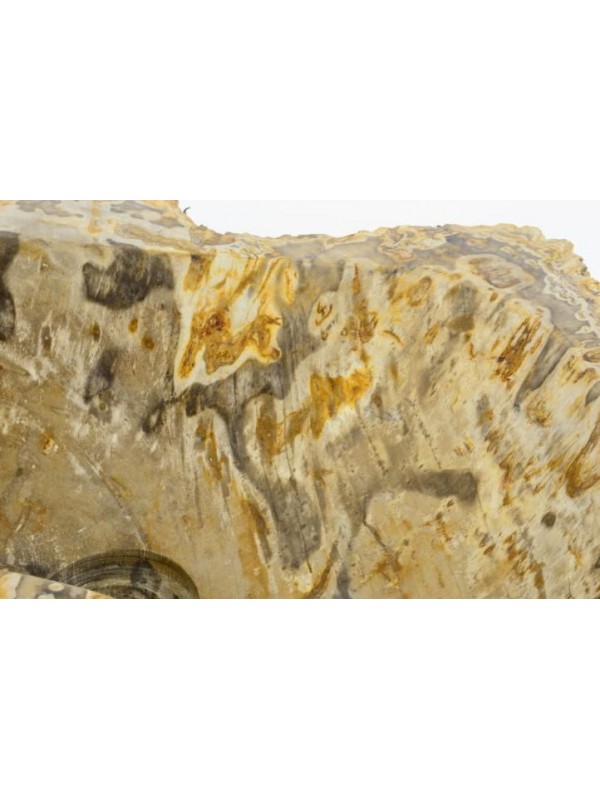 Umývadlo z prírodného kameňa FOSSIL DIVERO - veľké