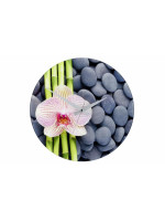 Nástenné hodiny WENKO 37 cm - SPA