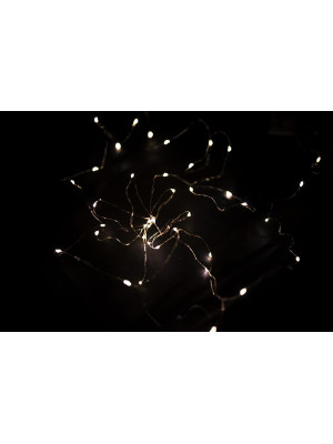 NEXOS LED osvetlenie strieborný drôt, 40 LED, teplá biela