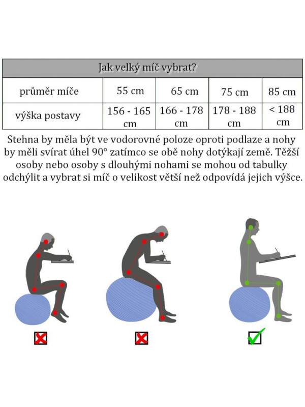 MOVIT Gymnastická lopta s nožnou pumpou, 65 cm, fialová