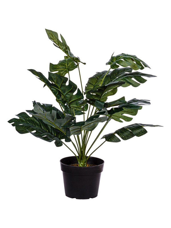 PLANTASIA Umelá rastlina monstera, 60 cm