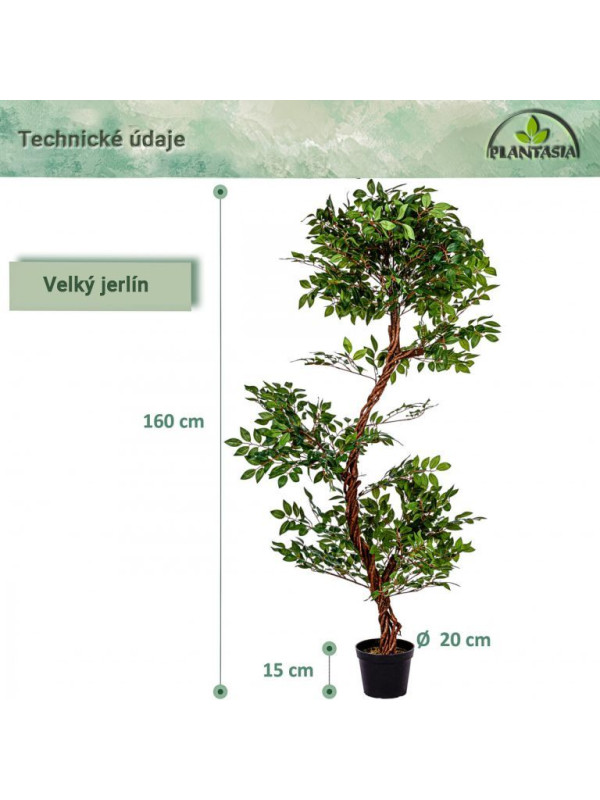 PLANTASIA Umelý strom jerlín, 160 cm