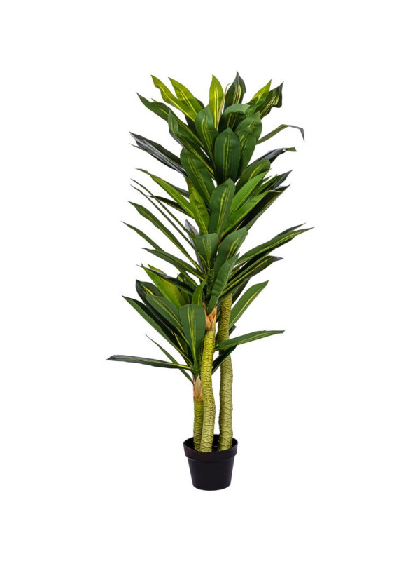 PLANTASIA umelý strom Dracaena 120 cm, 81 listov