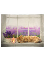 Nástenná maľba mačka na okne, 1 LED, 30 x 40 cm