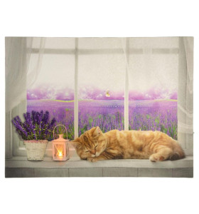 LED svetelné obrazy