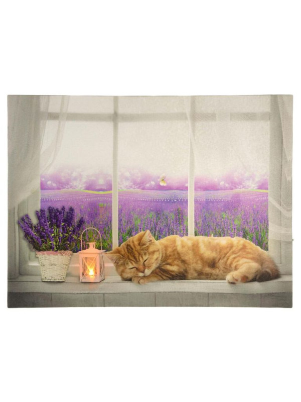 Nástenná maľba mačka na okne, 1 LED, 30 x 40 cm