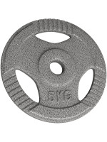 Physionics liatinový kotúč, 5 kg, 31 mm