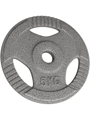 Physionics liatinový kotúč, 5 kg, 31 mm