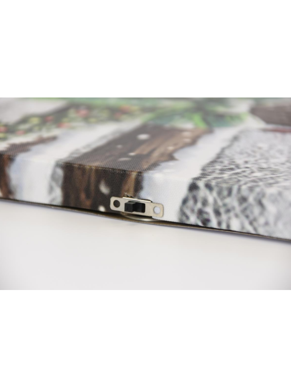 Nástenná maľba koňa a vrabca, LED, 30 x 40 cm